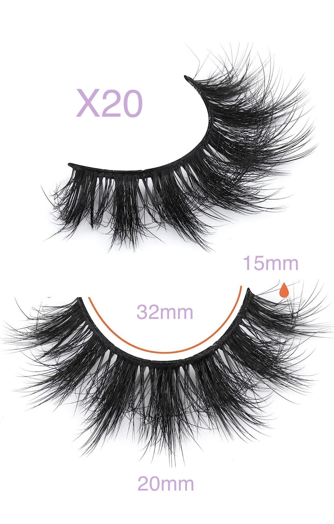 XLashes